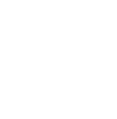 The Carter Group 
